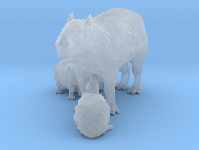 Capybara 1:22 Mother with three young in Clear Ultra Fine Detail Plastic