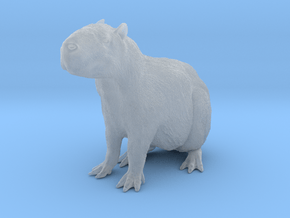 Capybara 1:6 Sitting Young in Clear Ultra Fine Detail Plastic