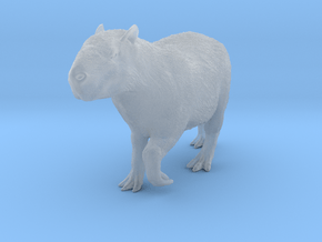 Capybara 1:6 Walking Young in Clear Ultra Fine Detail Plastic