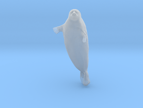 Ringed Seal 1:9 Head above the water in Clear Ultra Fine Detail Plastic