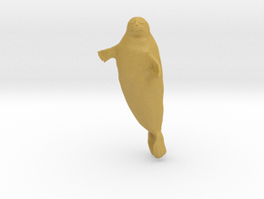 Ringed Seal 1:16 Head above the water in Tan Fine Detail Plastic