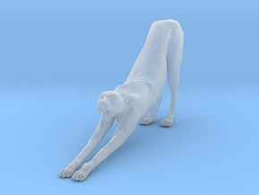 Cheetah 1:43 Stretching Male in Clear Ultra Fine Detail Plastic