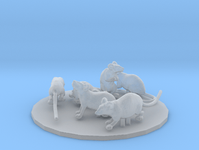 Brown Rat set 1:20 six different pieces in Clear Ultra Fine Detail Plastic