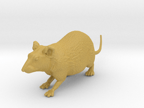 Brown Rat 1:6 Walking in Tan Fine Detail Plastic