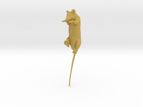 Brown Rat 1:6 Climbing on edge in Tan Fine Detail Plastic