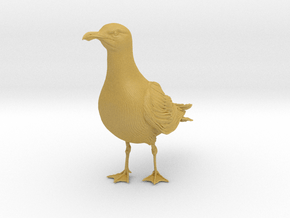 Glaucous Gull 1:6 Standing 1 in Tan Fine Detail Plastic