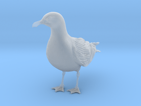 Glaucous Gull 1:6 Standing 3 in Clear Ultra Fine Detail Plastic