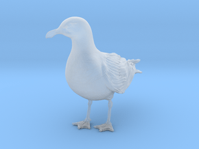 Glaucous Gull 1:9 Standing 3 in Clear Ultra Fine Detail Plastic