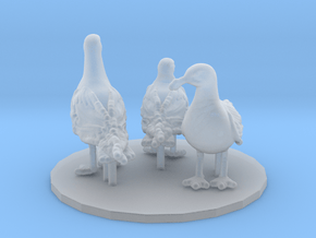 Glaucous Gull set 1:32 three different pieces in Clear Ultra Fine Detail Plastic