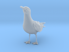 Herring Gull 1:6 Looking up in Clear Ultra Fine Detail Plastic