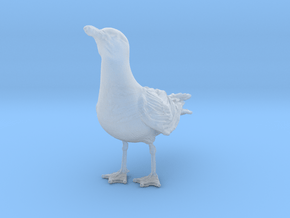 Herring Gull 1:9 Looking up in Clear Ultra Fine Detail Plastic