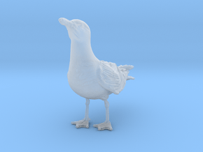 Herring Gull 1:12 Looking up in Clear Ultra Fine Detail Plastic