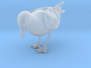 Herring Gull 1:12 Looking down 2 in Clear Ultra Fine Detail Plastic