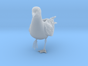 Herring Gull 1:6 On one leg in Clear Ultra Fine Detail Plastic