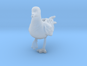 Herring Gull 1:24 On one leg in Clear Ultra Fine Detail Plastic