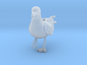 Herring Gull 1:25 On one leg in Clear Ultra Fine Detail Plastic