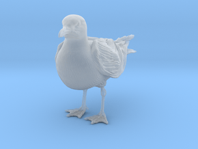 Herring Gull 1:6 Standing 2 in Clear Ultra Fine Detail Plastic