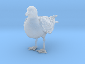 Herring Gull 1:9 Standing 2 in Clear Ultra Fine Detail Plastic