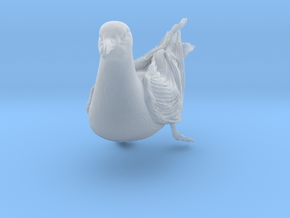 Herring Gull 1:6 Swimming 1 in Clear Ultra Fine Detail Plastic