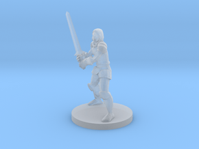 Lady Fighter in Clear Ultra Fine Detail Plastic