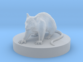 Giant Rat in Clear Ultra Fine Detail Plastic