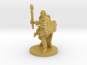 Male Human Druid with Lizard Totem in Tan Fine Detail Plastic