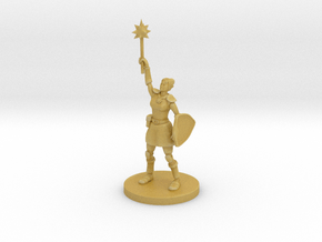 Female Elven Paladin / Cleric in Tan Fine Detail Plastic