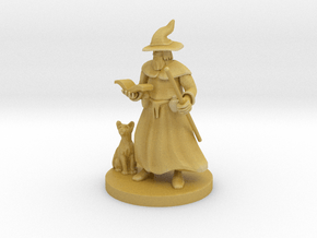 A Wizard and His Kitty in Tan Fine Detail Plastic