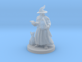 A Wizard and His Kitty in Clear Ultra Fine Detail Plastic