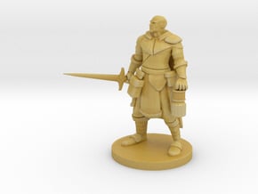 Mountain Warrior Paladin / Cleric in Tan Fine Detail Plastic