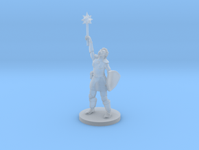 Female Dragonborn Paladin / Cleric in Clear Ultra Fine Detail Plastic