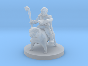 Gnome Wizard on a Pug Mount!  in Clear Ultra Fine Detail Plastic