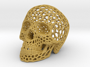 Human skull skeleton perforated sculpture in Tan Fine Detail Plastic