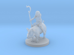 Halfling Female Druid riding a Pig in Clear Ultra Fine Detail Plastic