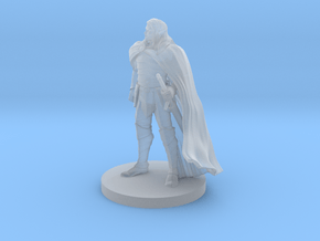 Elven Male Paladin in Clear Ultra Fine Detail Plastic