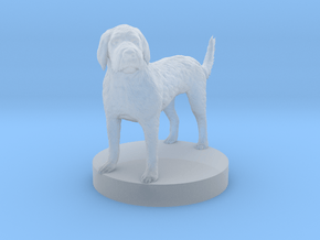 Labradoodle Cockapoo Mix in Clear Ultra Fine Detail Plastic