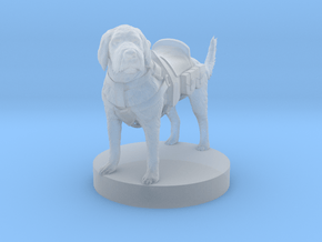Labradoodle Cockapoo Mix Mount in Clear Ultra Fine Detail Plastic
