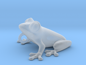 Frog Pendant in Clear Ultra Fine Detail Plastic