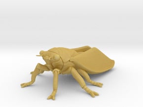 Cicada in Tan Fine Detail Plastic