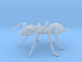 Ant Pendant in Clear Ultra Fine Detail Plastic