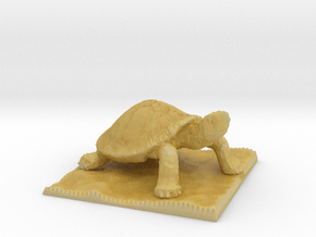 Turtle Pawn  in Tan Fine Detail Plastic