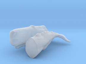 HO Scale Sperm Whale in Clear Ultra Fine Detail Plastic