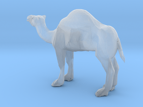 S Scale Camel in Clear Ultra Fine Detail Plastic