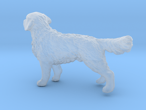 1/24 Golden Retriever Young Standing in Clear Ultra Fine Detail Plastic