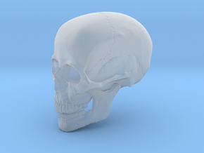 Non-scale Hollow Human Skull  in Tan Fine Detail Plastic