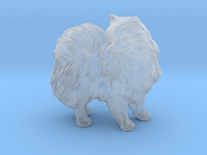 Custom Pomeranian Dog in Clear Ultra Fine Detail Plastic