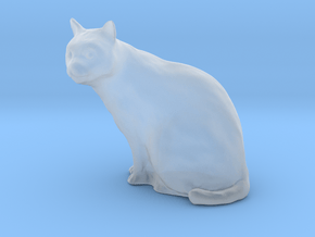 1/24 G Scale Cat Sitting in Clear Ultra Fine Detail Plastic