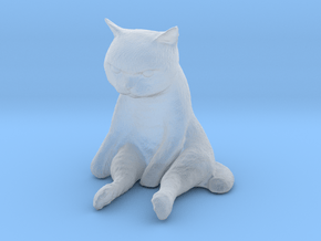1/12 Grumpy Cute Cat Sitting in Clear Ultra Fine Detail Plastic