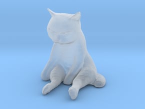 1/24 G Scale Sitting Cat in Clear Ultra Fine Detail Plastic