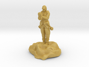 Catrell, the Human Cleric Hermit with Holy Symbol in Tan Fine Detail Plastic